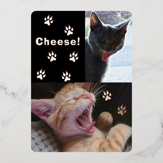 Carte de voeux pour chats riants mignons et amusan (Recto)