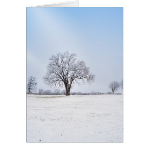 Carte de voeux pour chêne d'hiver