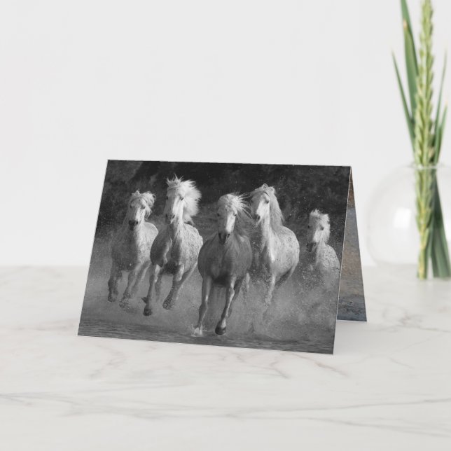 Carte de voeux pour Cheval de course d'eau (Devant)