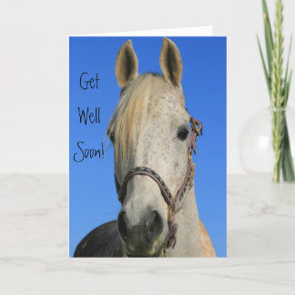 Carte de voeux pour cheval Get Well Bientôt