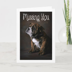 Carte de vœux pour chien bouledogue anglais - Vers