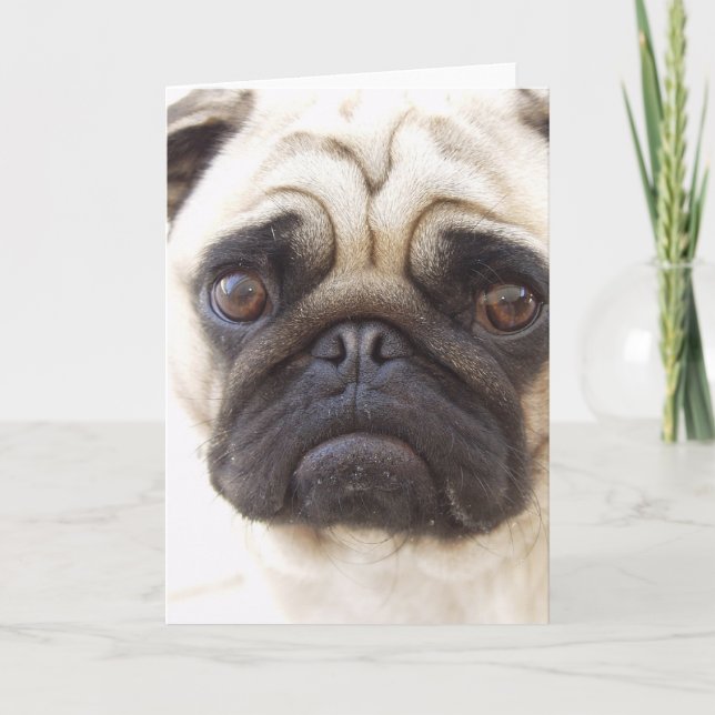 Carte de voeux pour chien carlin (Devant)