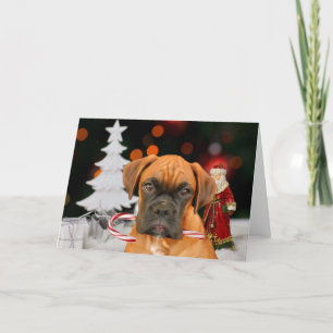 Carte de voeux pour chien de boîte de Noël