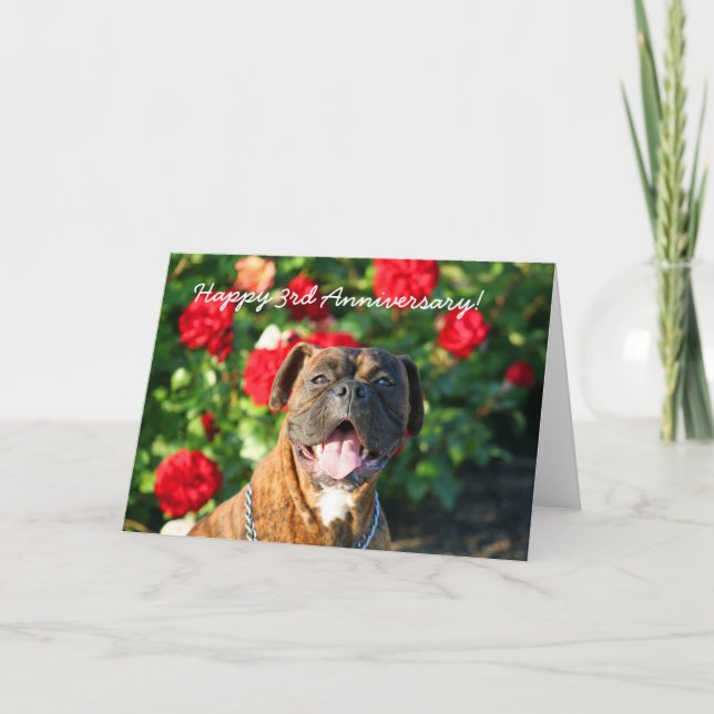 Carte de voeux pour chien de boxe du 3e anniversai (Devant)