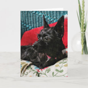 Carte de voeux pour chien doux