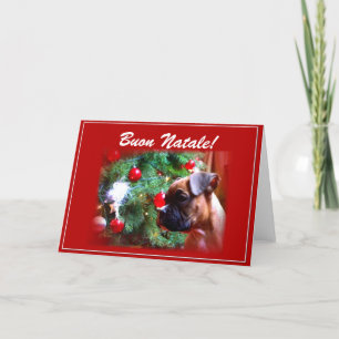 Carte de voeux pour chiot Buon Natale Boxer