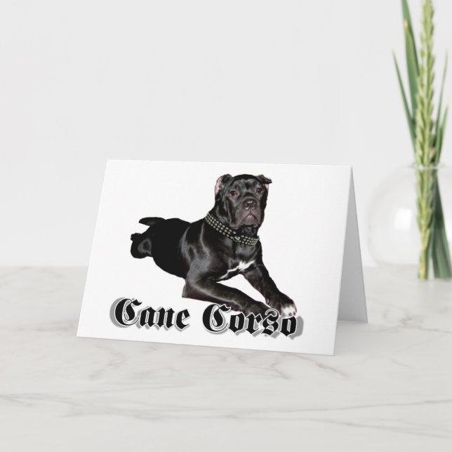 Carte de voeux pour chiot Cane Corso (Devant)
