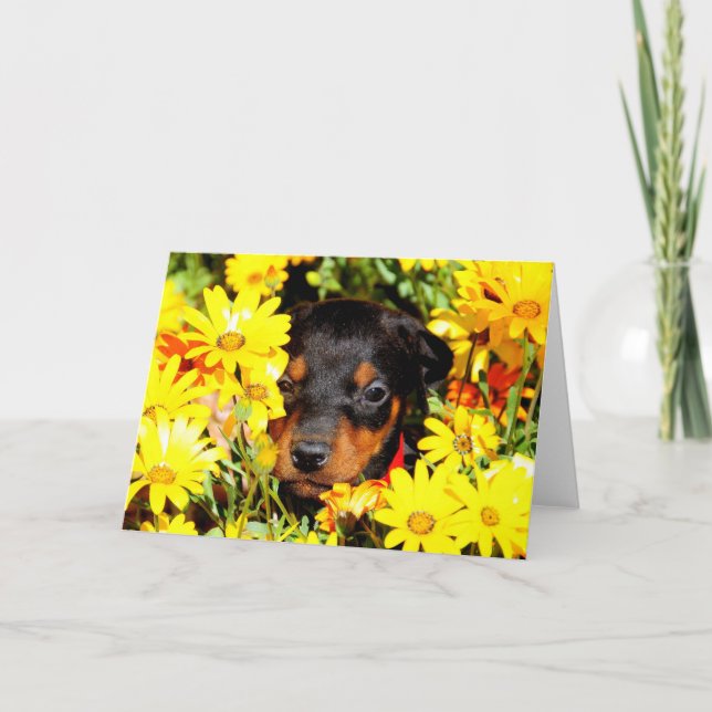 Carte de voeux pour chiot Doberman (Devant)
