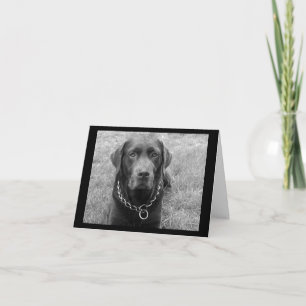 Carte de vœux pour chiot Labrador Retriever au cho