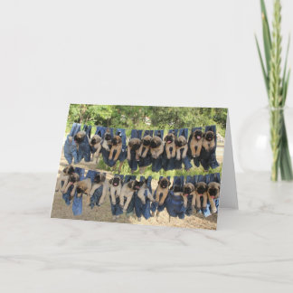 Carte de voeux pour chiot Mastiff