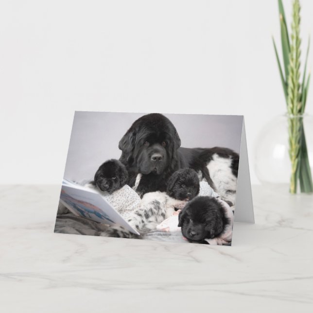 Carte de vœux pour chiot Notta Bear (Devant)
