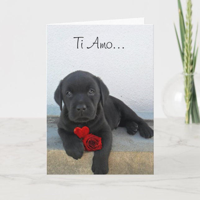 Carte de voeux pour chiot Ti Amo Labrador (Devant)