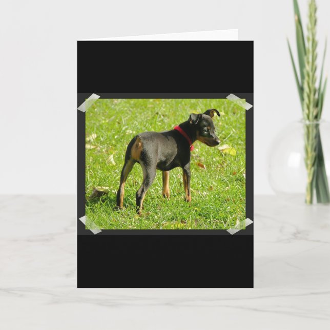 Carte de voeux pour Chiots Doberman (Devant)
