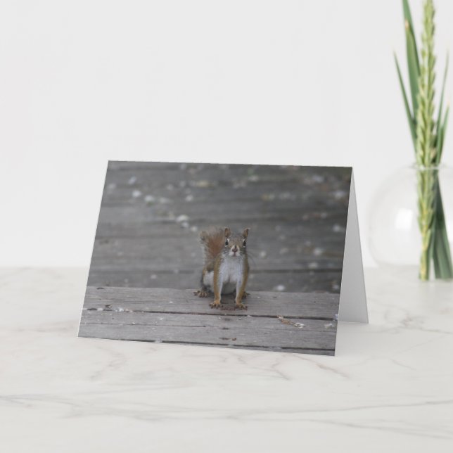 Carte de voeux pour écureuil (Devant)