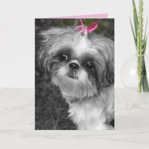 Carte de voeux pour fille Shitzu