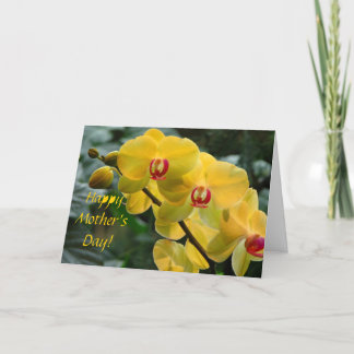 Carte de voeux pour la fête des mères des orchidée