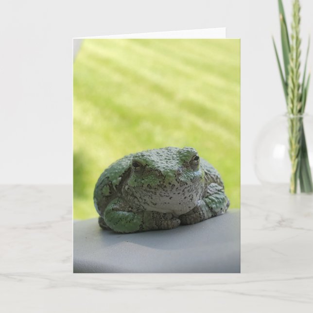 Carte de voeux pour la grenouille arborescente (Devant)