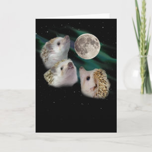 Carte de voeux pour la lune de hérisson