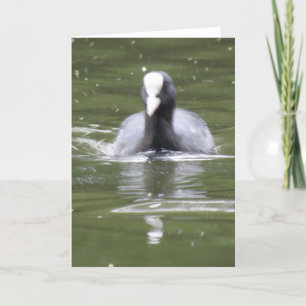 Carte de voeux pour la natation en coton