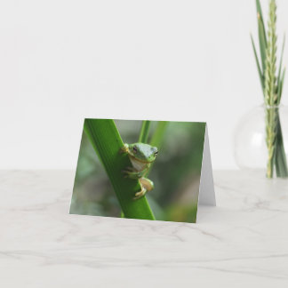 Carte de voeux pour l'amitié de la grenouille d'ar