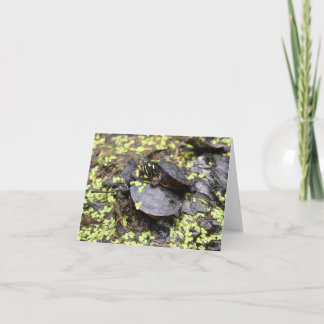 Carte de voeux pour l'amitié des tortues