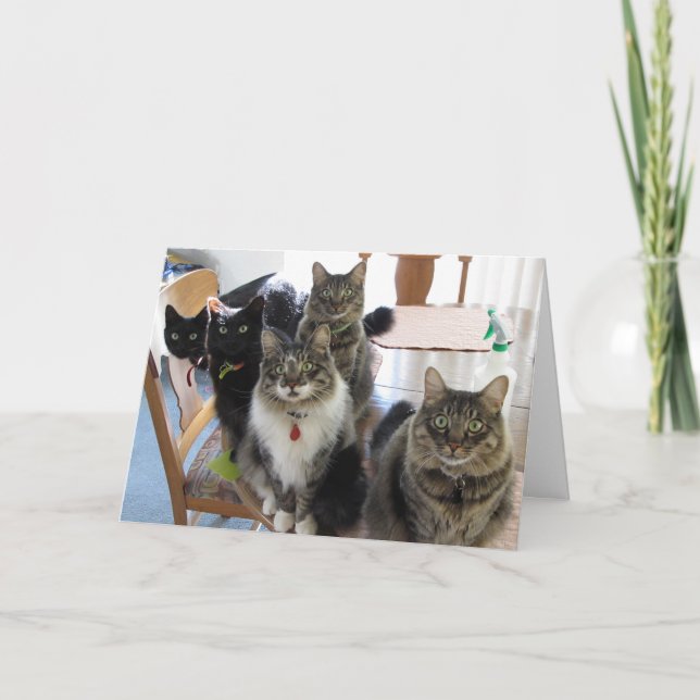 Carte de voeux pour l'anniversaire de Gang (Devant)