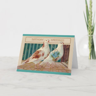 Carte de voeux pour l'anniversaire de la colombe v