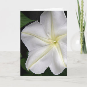Carte de voeux pour l'anniversaire de la fleur de