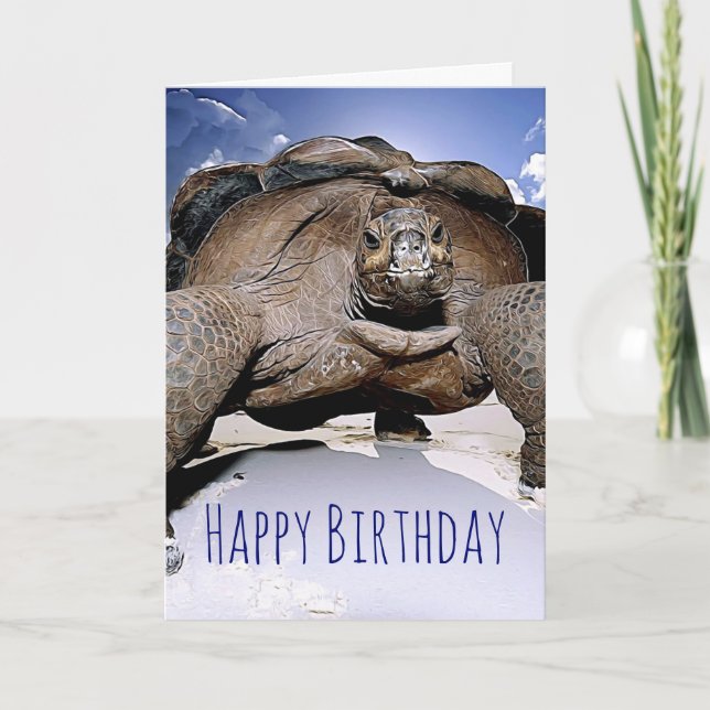 Carte de voeux pour l'anniversaire de la tortue (Devant)
