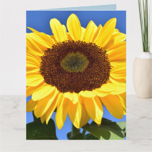 Carte de voeux pour l'anniversaire de SUNFLOWER