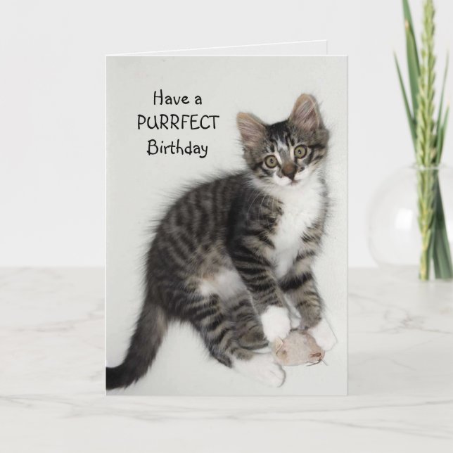 Carte de voeux pour l'anniversaire de Zorro Catnip (Devant)