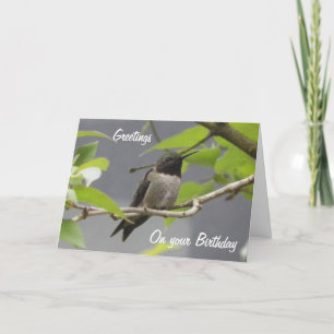 Carte de voeux pour l'anniversaire des colibris