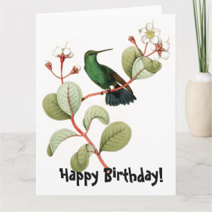 Carte de voeux pour l'anniversaire d'oiseau-de-mer