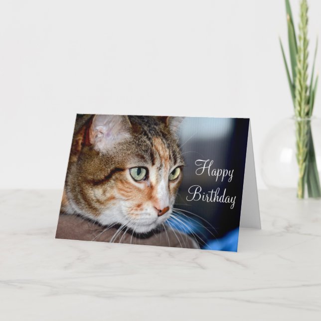 Carte de voeux pour l'anniversaire du chat étoilé (Devant)