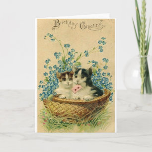 Carte de voeux pour l'anniversaire du chat victori