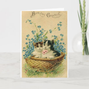 Invitations Faire Part Cartes Joyeux Anniversaire Chaton Zazzle Fr