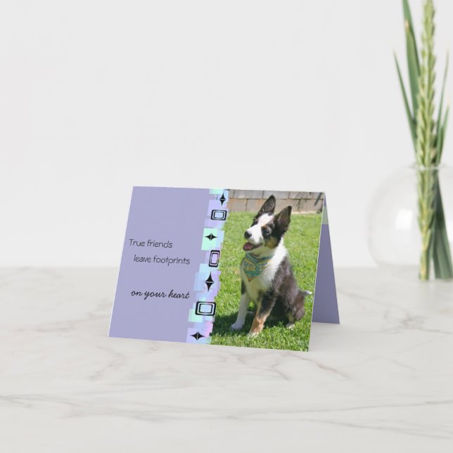 Carte de voeux pour l'anniversaire du chien de bét (Devant)