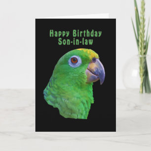 Carte de voeux pour l'anniversaire du perroquet ve