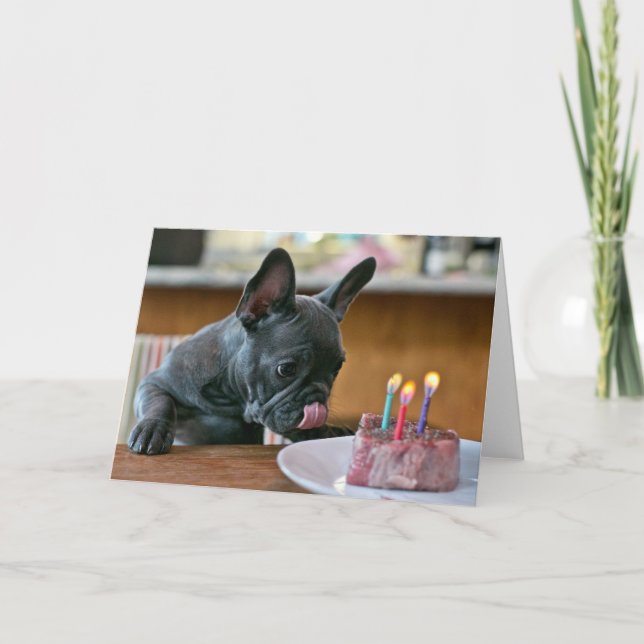 Carte de voeux pour l'anniversaire du poulet (Devant)