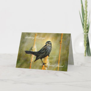 Carte de voeux pour l'anniversaire en Limelight