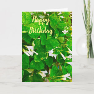 Carte de voeux pour l'anniversaire Shamrock