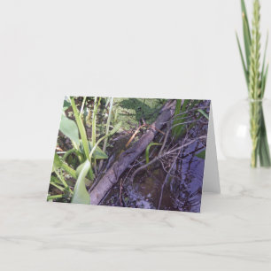 Carte de voeux pour le bain de soleil sur mesure p