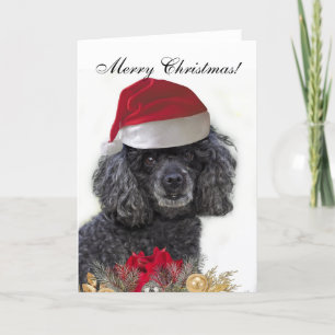 Carte de voeux pour le chien de caniche de Noël