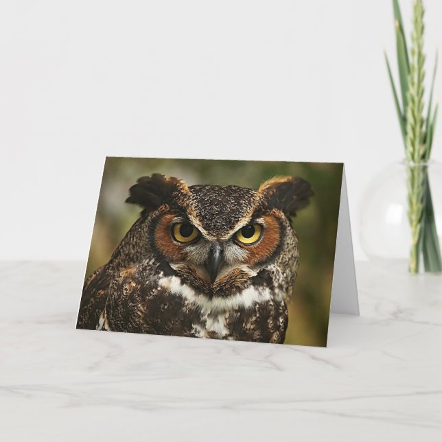 Carte de voeux pour le grand hibou à cornes (Devant)