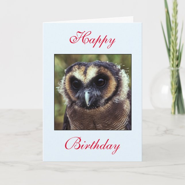 Carte de voeux pour le hibou d'anniversaire (Devant)
