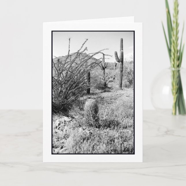 Carte de voeux pour le jardin de Cowboy (Devant)