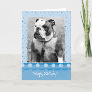 Carte de voeux pour le joyeux Bulldog Birthday Blu