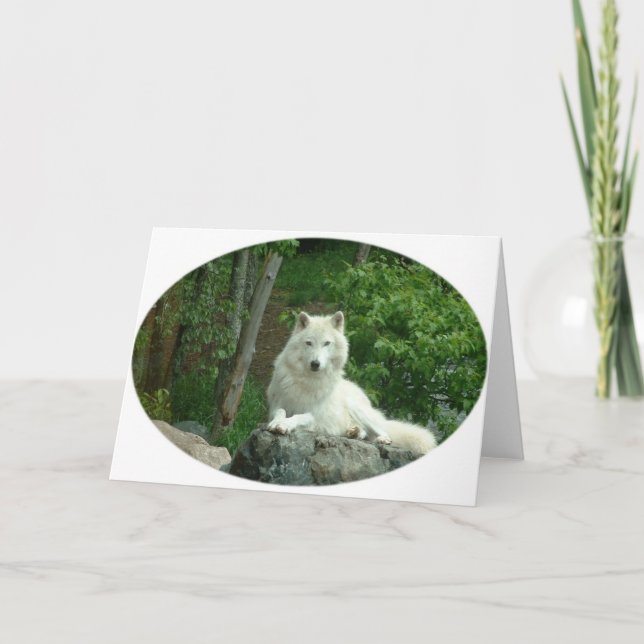 Carte de voeux pour le loup arctique (Devant)