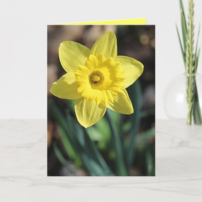 Carte de voeux pour le printemps! (Devant)