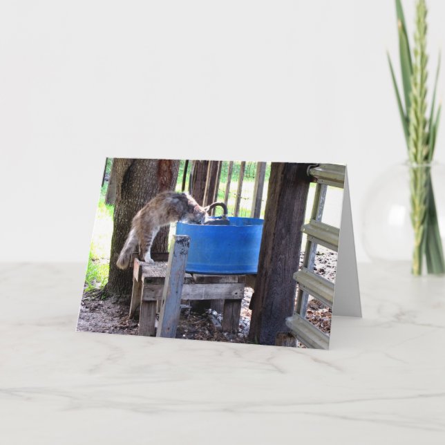 Carte de voeux pour les chats de ferme (Devant)